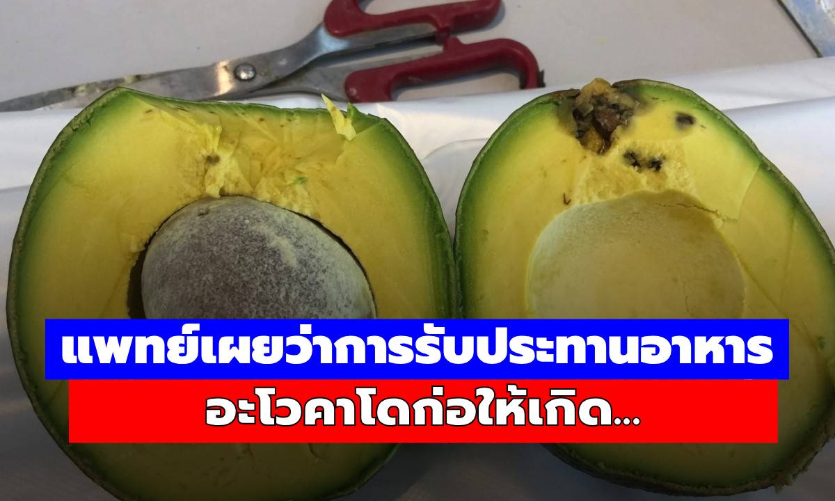 แพทย์เผย! การกินอะโวคาโดให้ถูกวิธี ดีต่อสุขภาพหรือเสี่ยงโดยไม่รู้ตัว