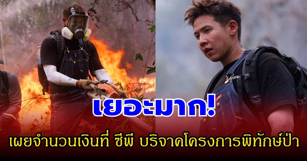 เยอะมาก! ทราย สก็อต เผยจำนวนเงินที่ ซีพี บริจาคโครงการพิทักษ์ป่า
