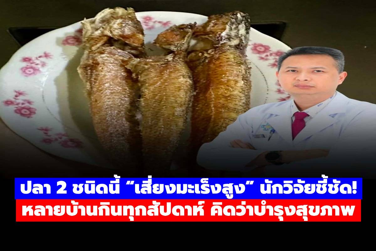 ปลา 2 ชนิดนี้ “เสี่ยงมะเร็งสูง” นักวิจัยชี้ชัด! หลายบ้านกินทุกสัปดาห์ คิดว่าบำรุงสุขภาพ