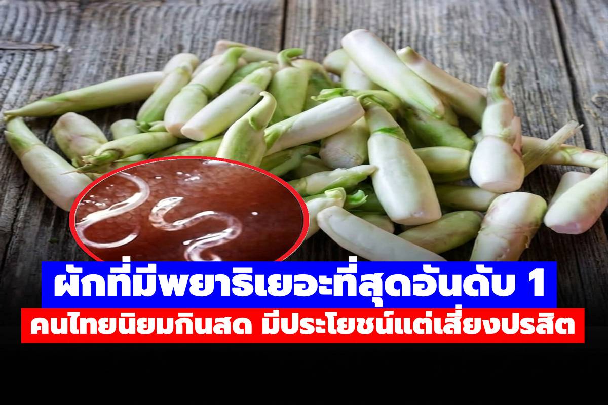 ผักที่มีพยาธิเยอะที่สุดอันดับ 1 คนไทยนิยมกินสด มีประโยชน์แต่เสี่ยงปรสิต