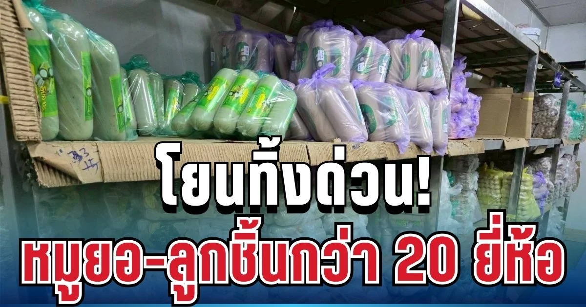 โยนทิ้งด่วน! ทลายโรงงานหมูยอ-ลูกชิ้นกว่า 20 ยี่ห้อ พบสวมเลข อย. ปลอม