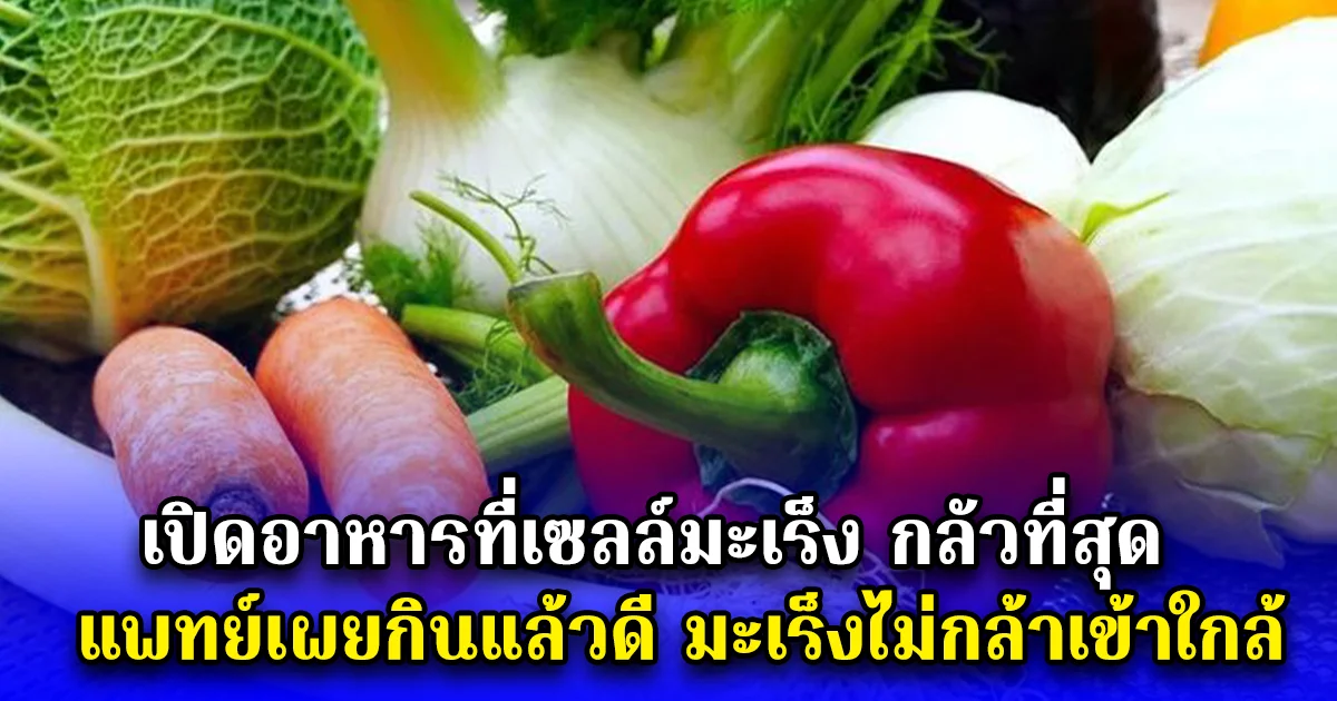 เปิดอาหารที่เซลล์มะเร็ง กลัวที่สุด แพทย์เผยกินแล้วดี มะเร็งไม่กล้าเข้าใกล้