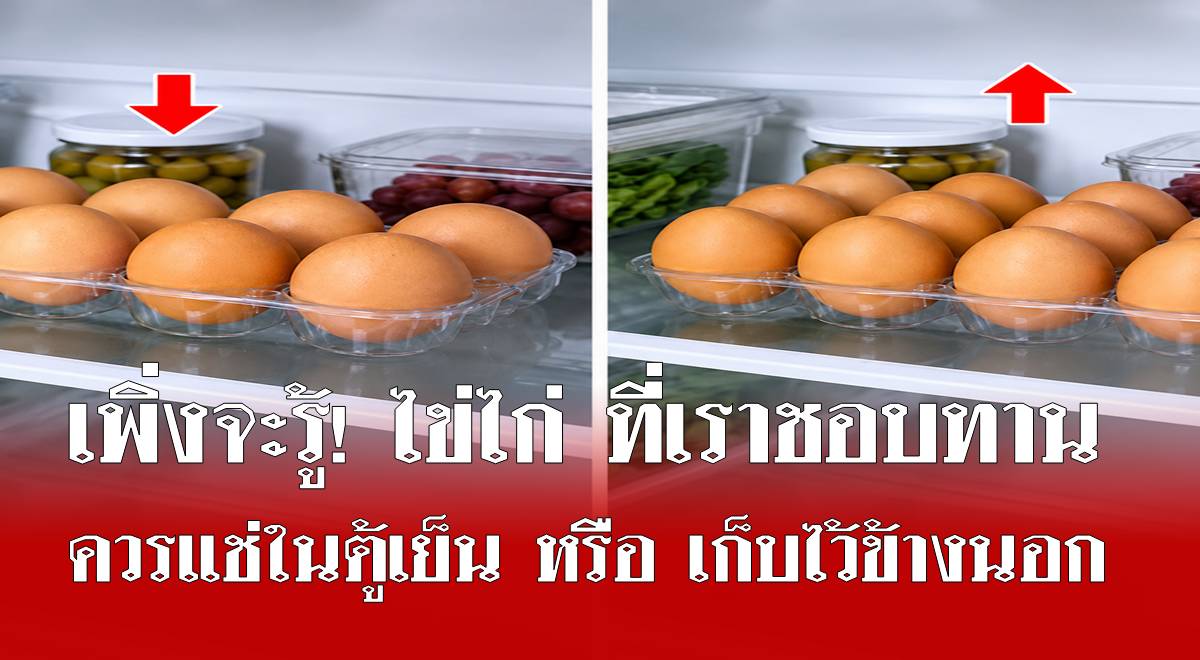 เพิ่งจะรู้! ไข่ไก่ ควรแช่ในตู้เย็น หรือ เก็บไว้ข้างนอก ถึงจะถูกต้อง หลายคนเข้าใจผิดมาตลอด
