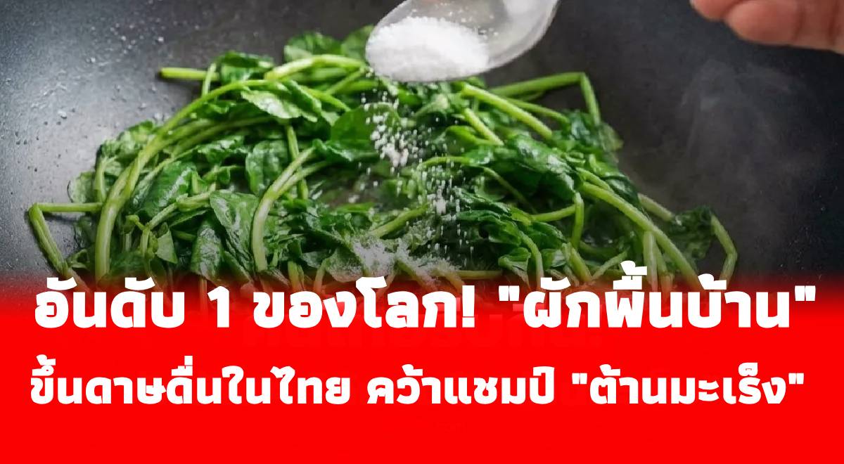 อันดับ 1 ของโลก! “ผักพื้นบ้าน” ขึ้นดาษดื่นในไทย คว้าแชมป์ “ต้านมะเร็ง” คะแนนเต็ม 100